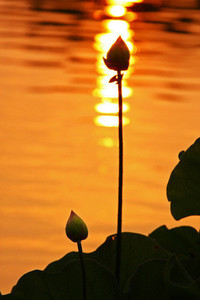 利兹联主帅鼓励士气，反败为胜勇夺佳绩