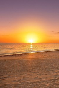 爱尔兰队士气低迷，欧洲杯晋级难题待解