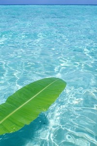 阿斯顿维拉客场全面优势，取得重要胜利