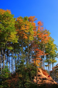 广州队挑战困难，勇往直前取胜