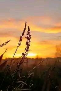 拜仁欧冠淘汰赛对手出炉，皇马在列