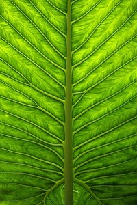 欧国联赛球队拘束罢工骚动！